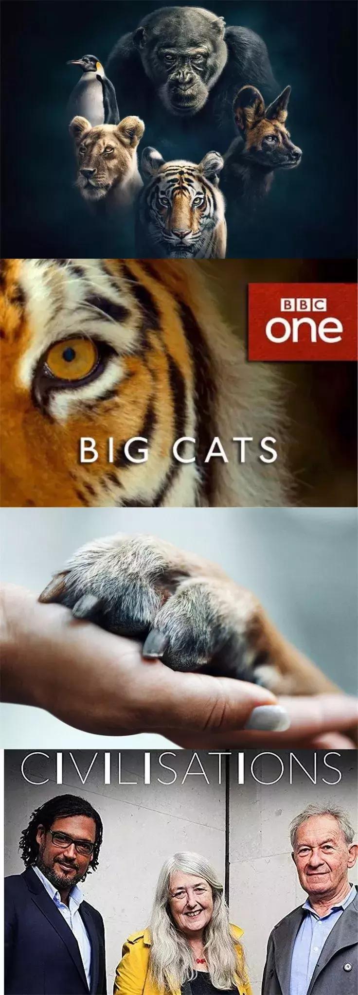 2018年华语豆瓣十大高分剧,高分好剧重磅回归豆瓣评分9.4