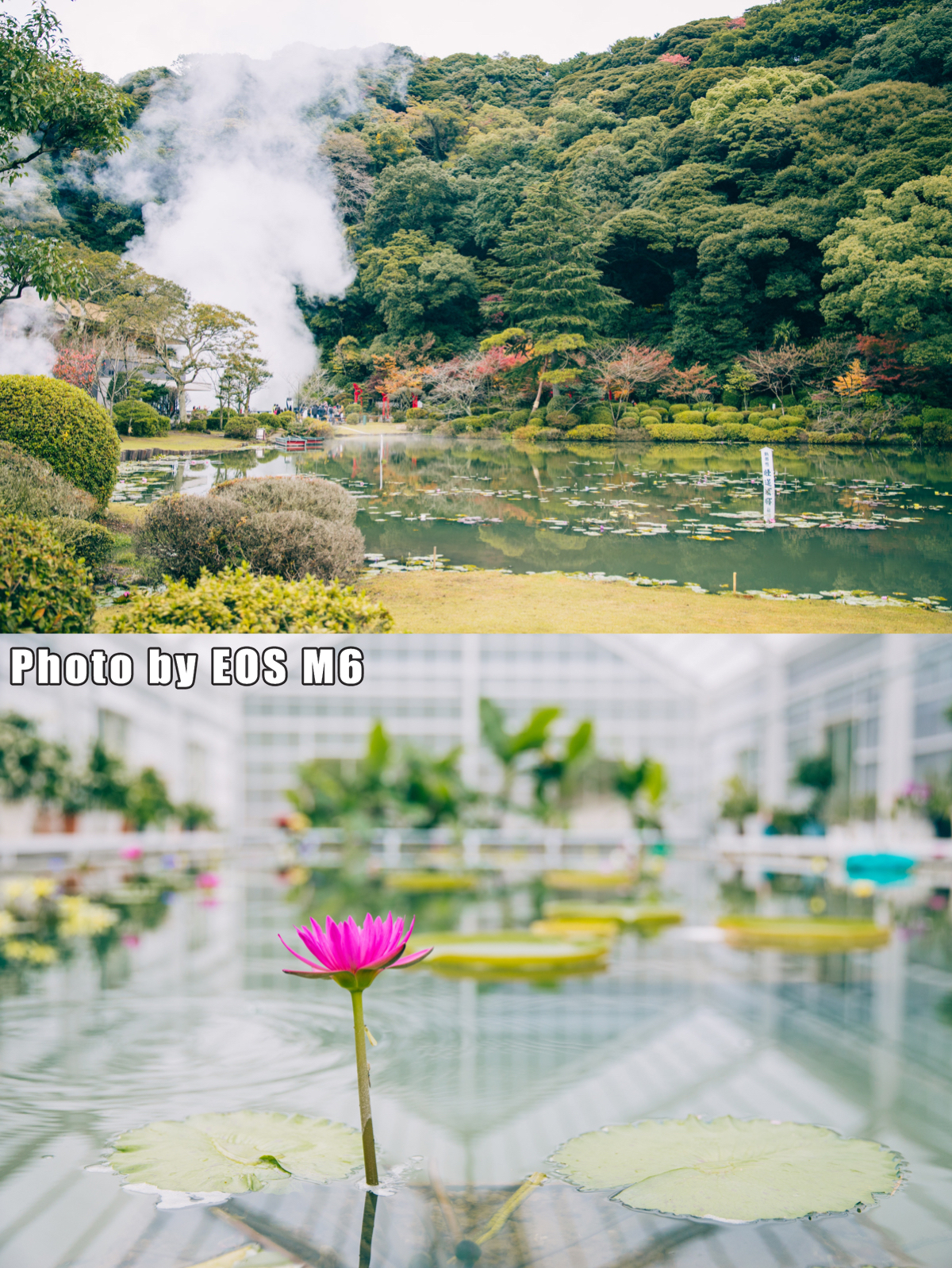 日本温泉之旅攻略大全图片,日本温泉旅游攻略自驾