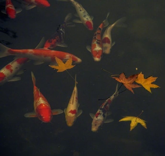 万壑千岩锁翠烟赏析,万壑千岩图片