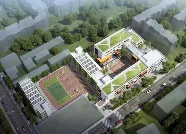 双流上私立小学要什么条件,成都公立小学怎么选