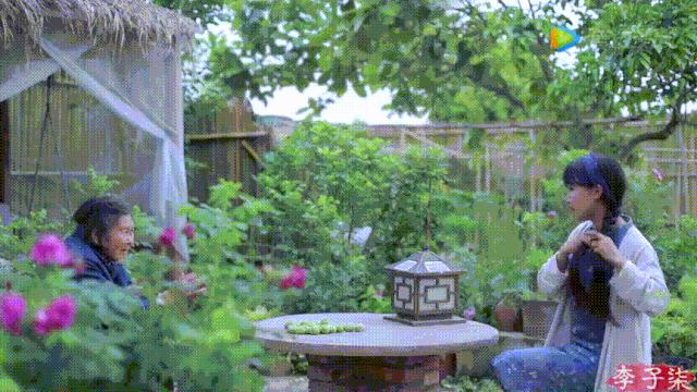 李子柒视频转场技巧,李子柒拍摄视频技巧