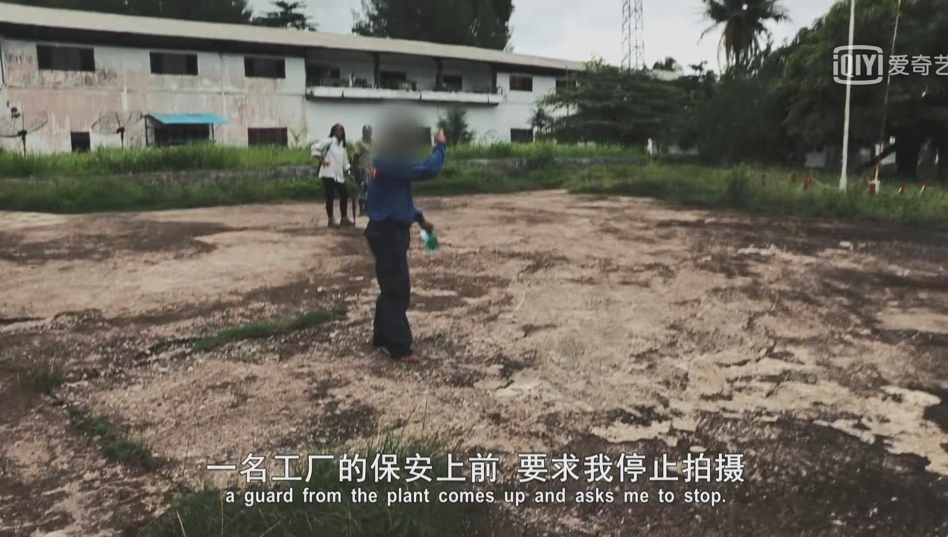 非法撒网捕鱼,非法捕鱼者转型