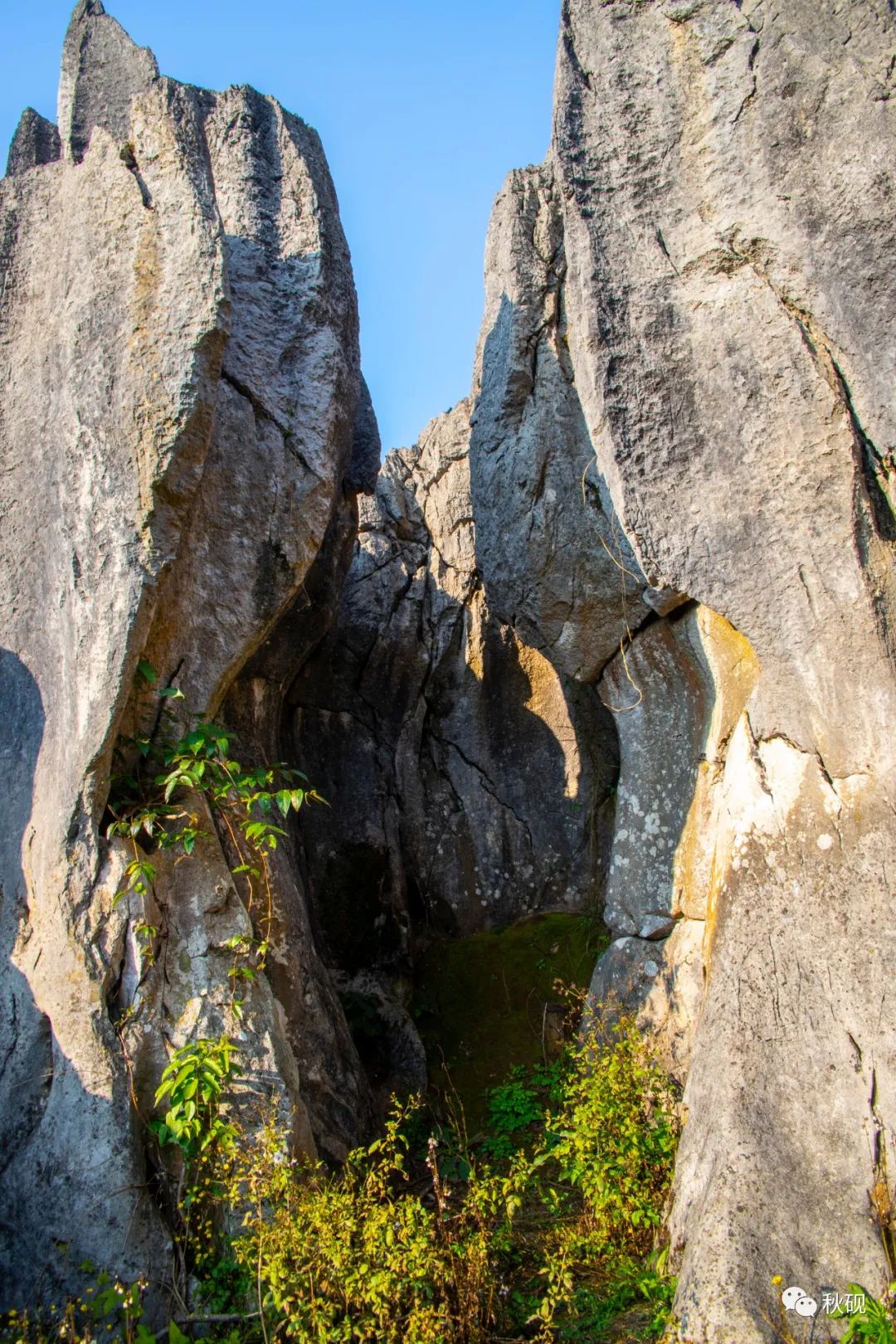 周游西南随记（六）弥蒙的万峰林