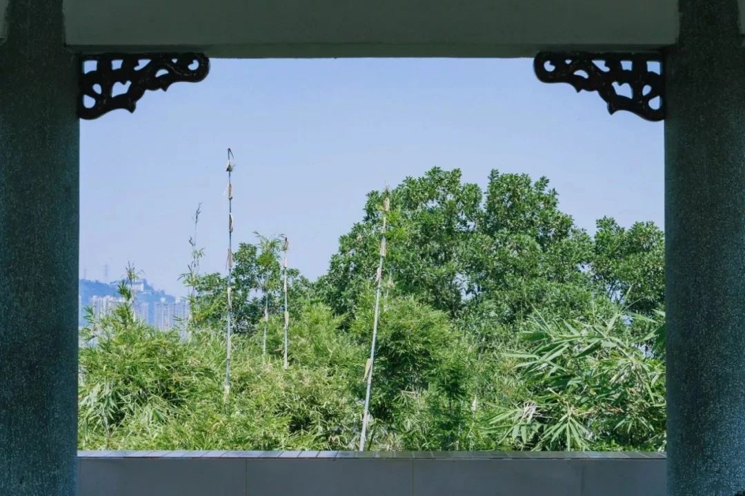 深圳地铁7号线有什么好玩的,深圳地铁十四号线游玩攻略