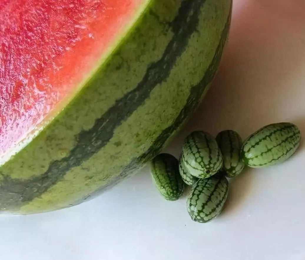 亩收入50万元种植项目赚钱,80亩种植利润