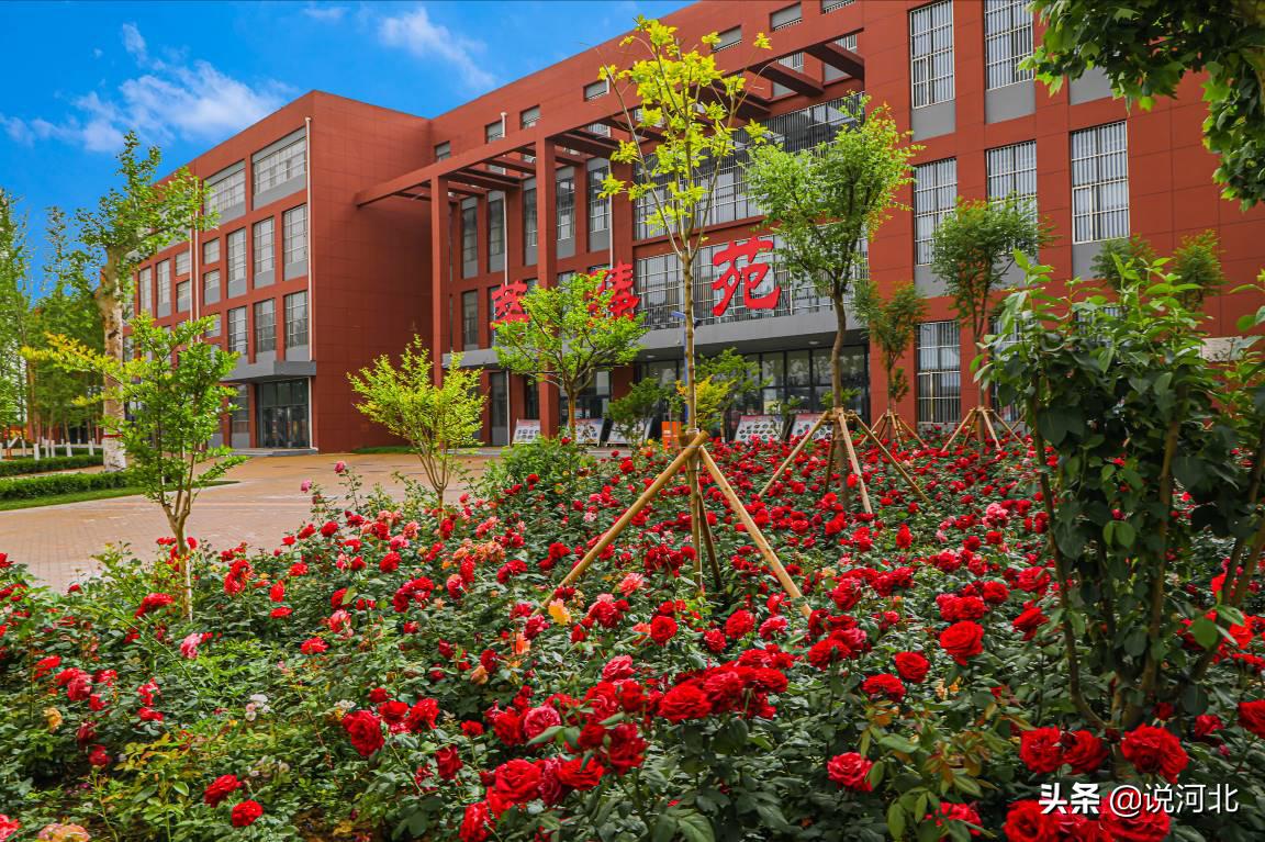 衡水二中清河志臻中学邢台一中,衡水志臻清河校区与衡水二中