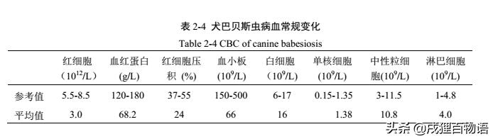 夏季炎热，狗狗便血而亡，元凶藏在这里！你家狗也会有