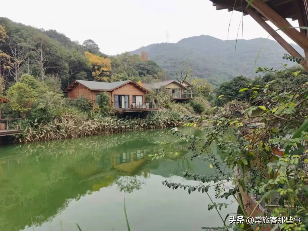 杭州开元森泊怎么样,杭州度假开元森泊
