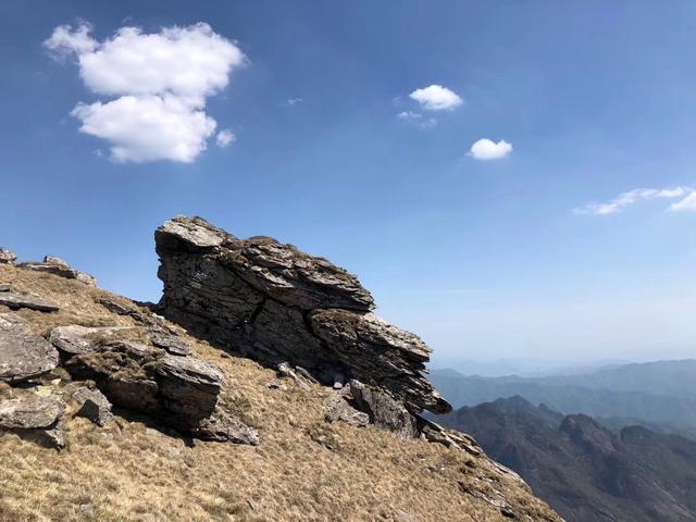 智者乐山仁者乐水谁作的诗,智者乐山仁者喜水