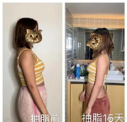 为什么很多网红没文化也能成功,网红们用事实告诉你没文化真可怕