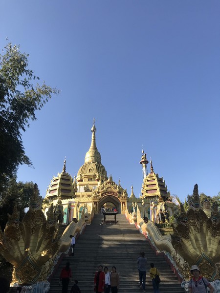 鑺掑競鍜岃吘鍐茬憺涓藉摢涓ソ,鑵惧啿鐟炰附鑺掑競瑗垮弻鐗堢撼