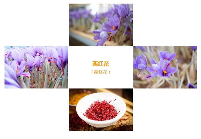 藏红花跟西红花番红花有什么区别,西红花番红花藏红花有什么区别
