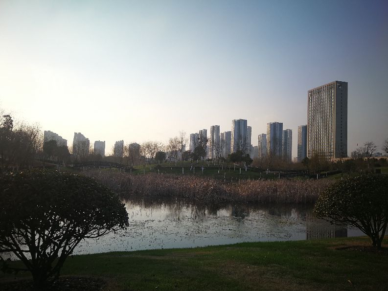 漫步河畔公园全景图,漫步公园美景