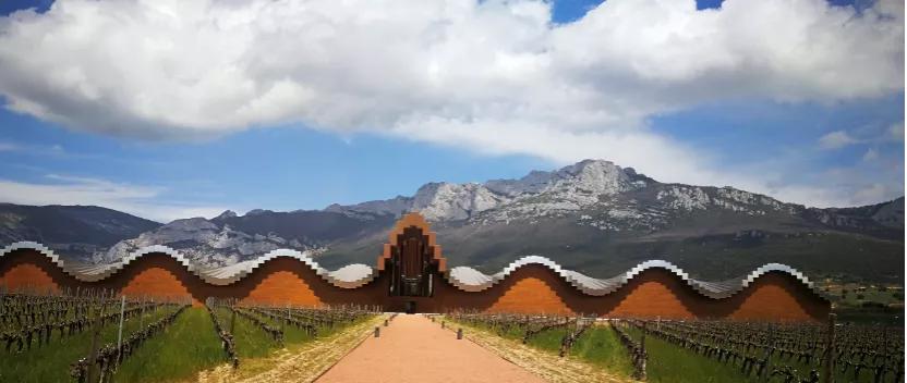 这个分类能代表西班牙葡萄酒的最高品质吗？一篇文章带你搞懂