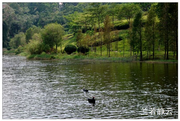 厦门国家会计学院校园,厦门国家会计学院漂亮吗