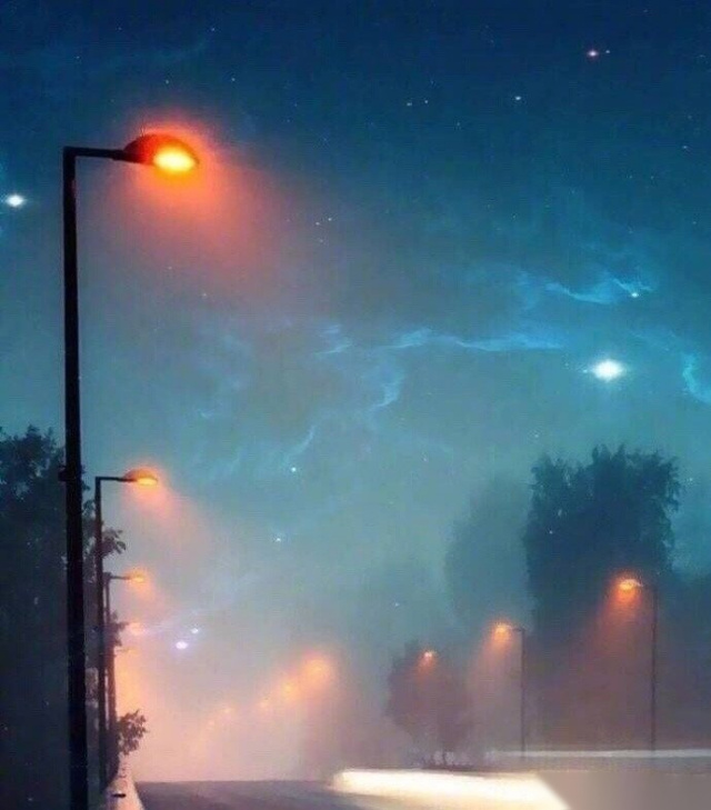 非诚勿扰情商低的话,非诚勿扰每个人要做一个独立的人