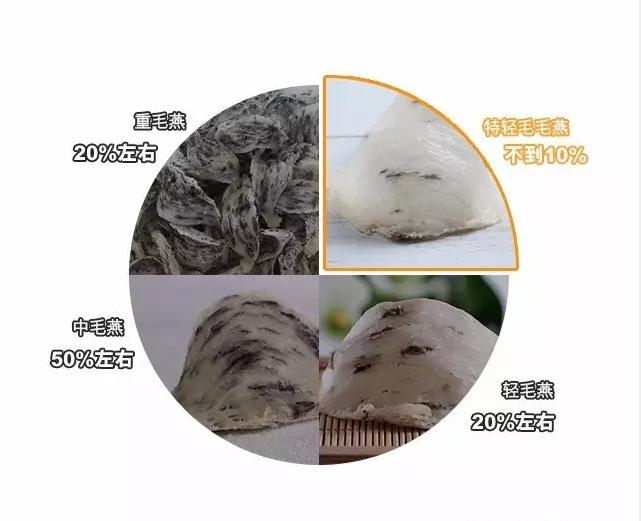 燕窝真假鉴别最简单方法,燕窝鉴别方法怎样辨别优质燕窝