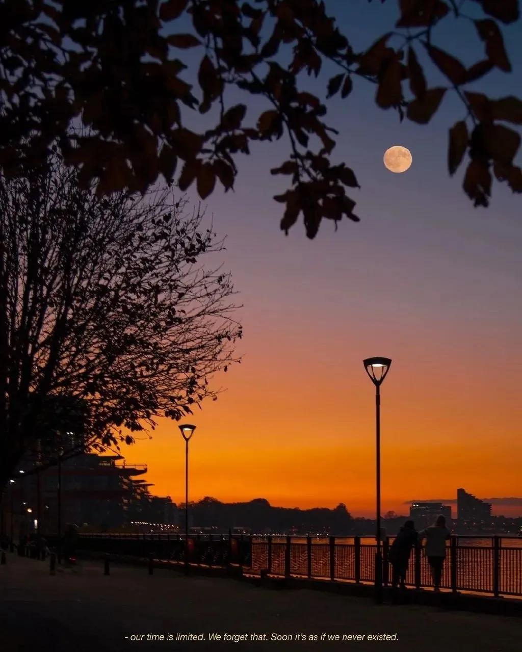 群发短信如有打扰敬请见谅文案,群发消息如有打扰请见谅怎么回复