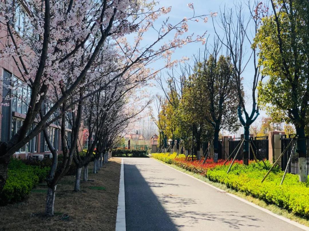 南外和北外哪个好,南外和淮中哪个好