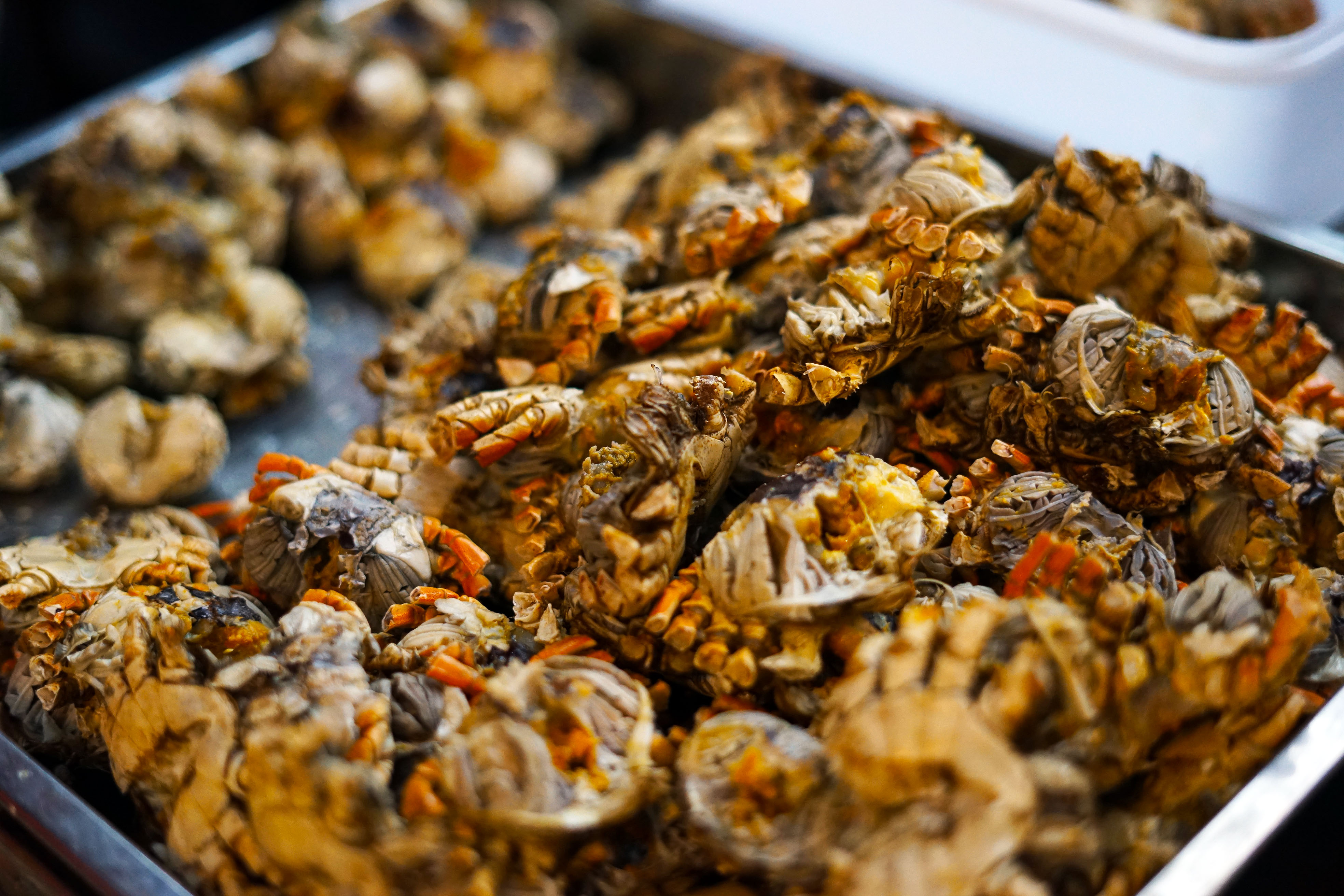 苏州是个温柔的地方,苏州人是个雅致的女人