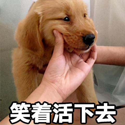 卧室梳妆台镜子对着床怎么办,卧室镜子不能对着床吗