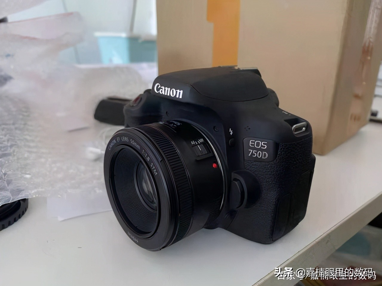 入门级选佳能哪一款相机最好,佳能新手入门哪款好看一点的相机