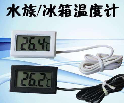 新手客厅鱼缸怎么养鱼,鱼缸养鱼新手入门教程