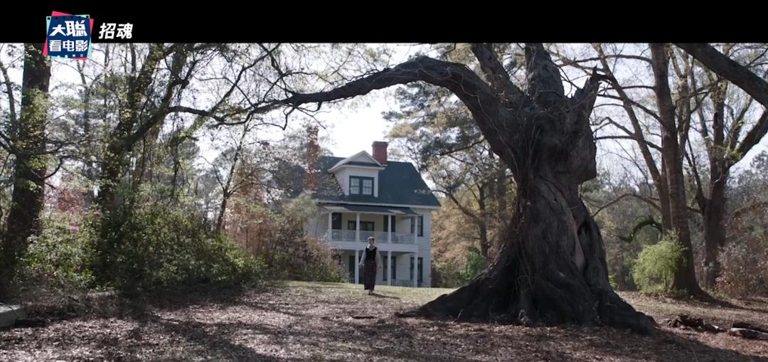 招魂一招魂二招魂三,招魂的恐怖片大全免费观看
