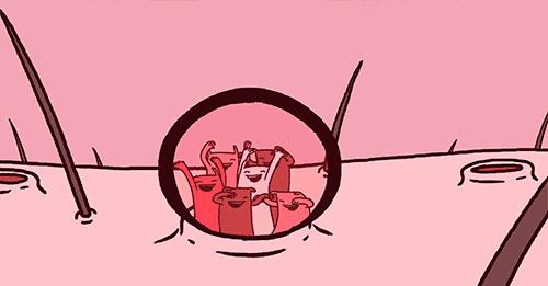 防脱大作战,防脱发不踩雷