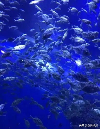 深夜重磅：一年疯一次！徐州南区都在传这事！100多家餐厅5折起