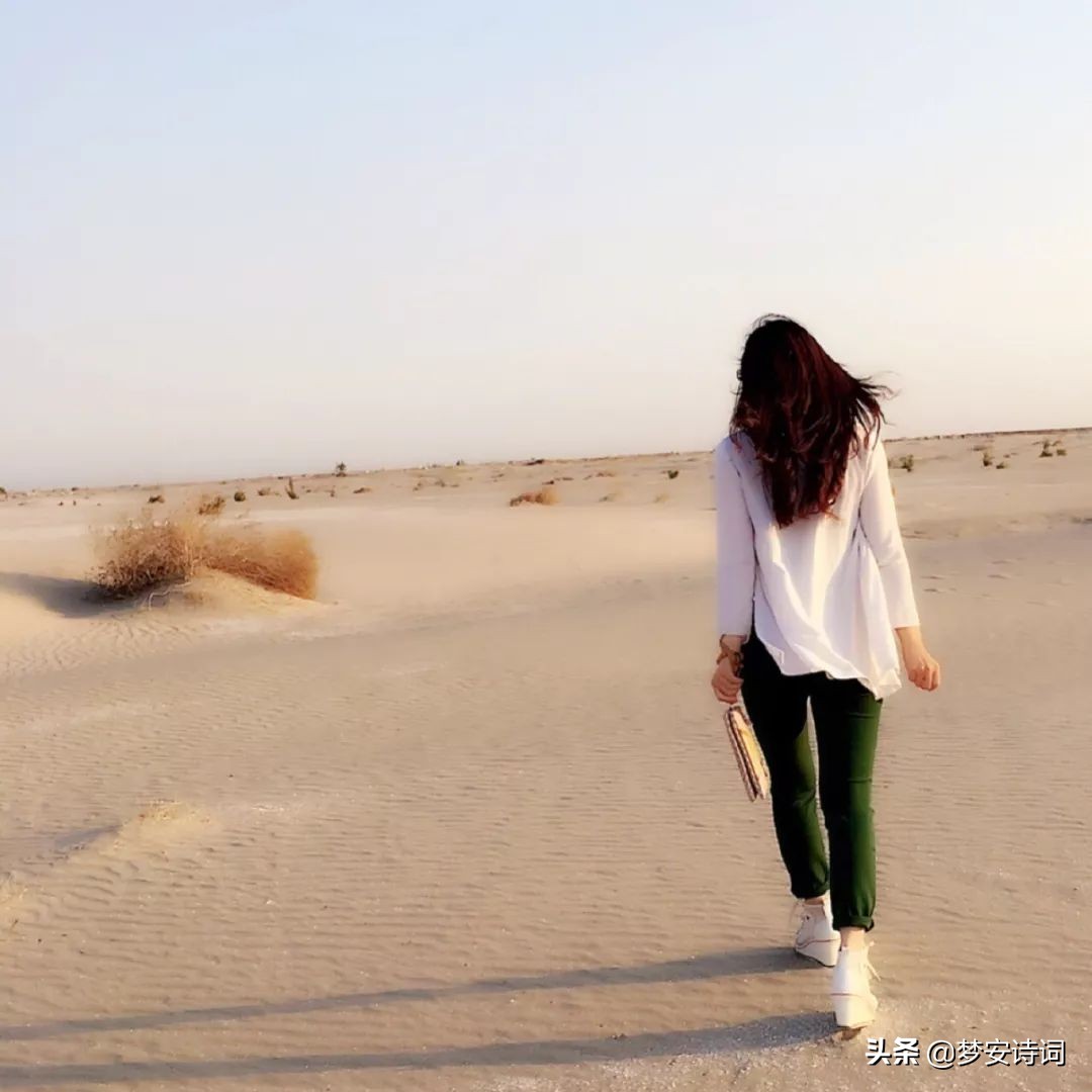 梦安|水岸春行,金丝柳影入画屏