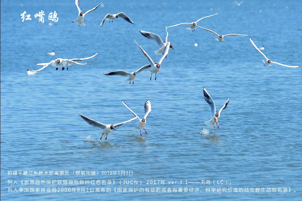 榻愰綈鍝堝皵瀚╂睙涓滄按鐝嶇鍏洯,榻愰綈鍝堝皵瀚╂睙涓滄按鐝嶇婀垮湴鍏洯