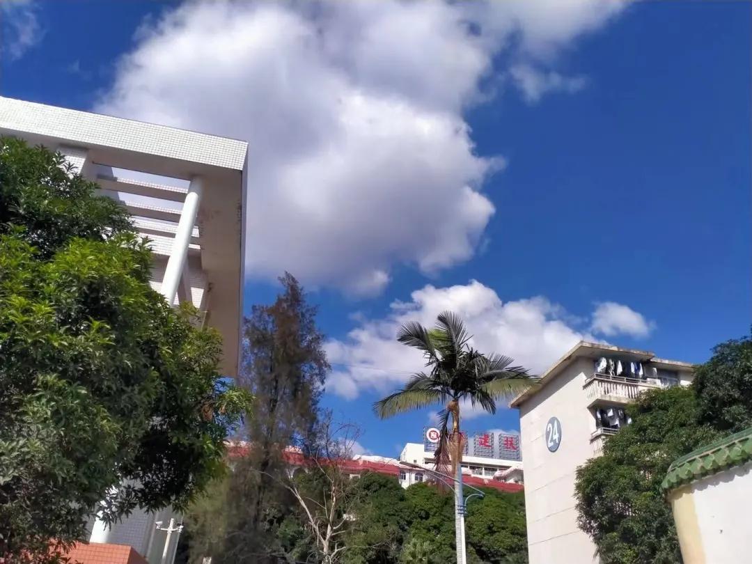 福建师大福清分校,师大福清分校