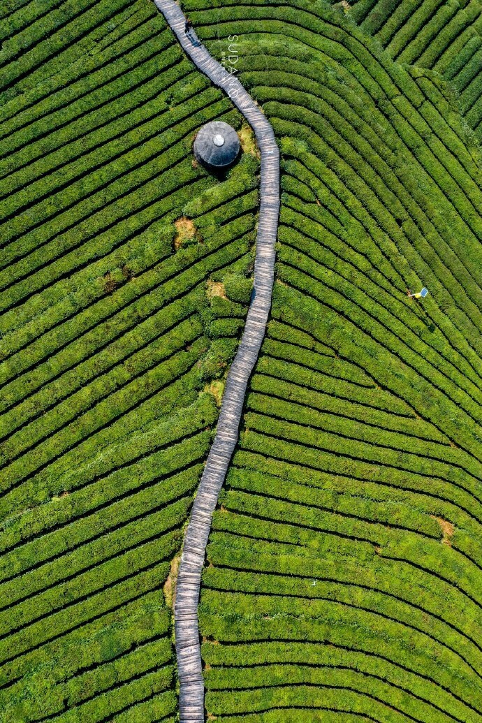 武汉的有钱人喜欢去哪里买房养老？“世界硒都”恩施州，养生胜地