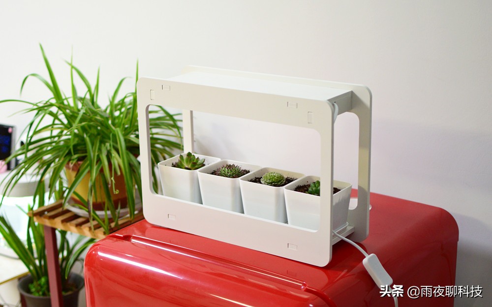 LED种植机体验：黑科技光谱养花，家里的多肉有救了