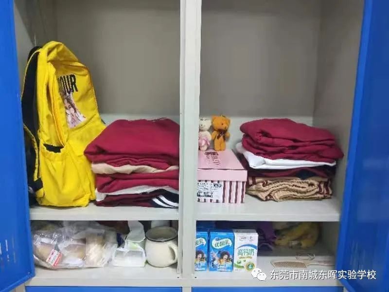 东莞南城东晖实验学校初中公费生,东莞市南城东晖实验学校