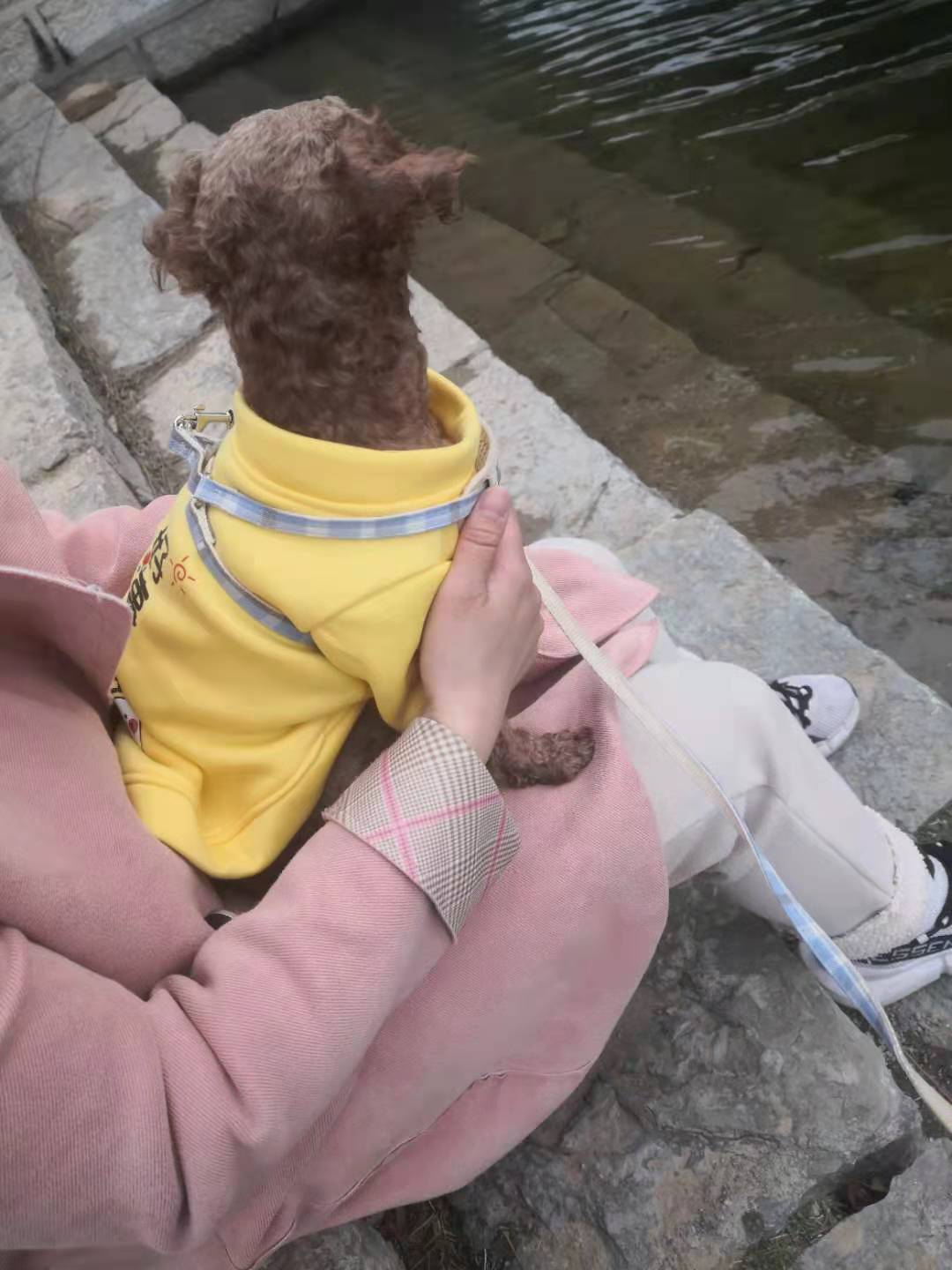 命根子被踢了（二）