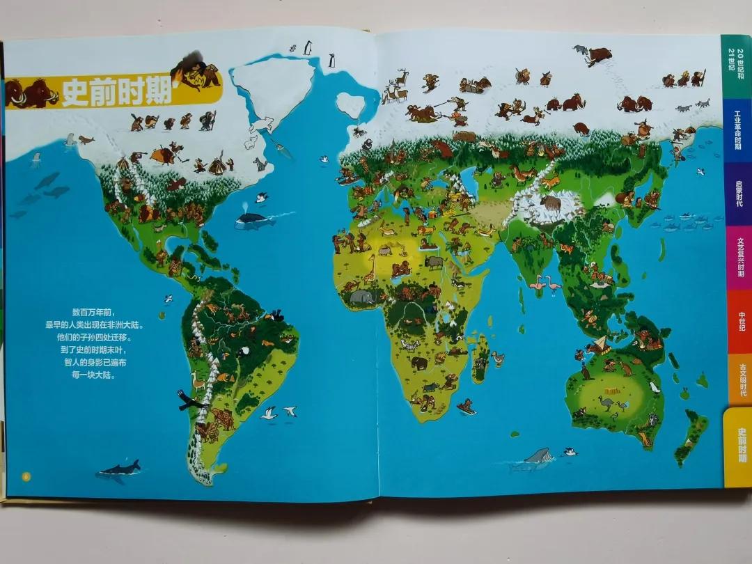 通过这半年的撒网阅读南瓜对历史产生了强烈的兴趣