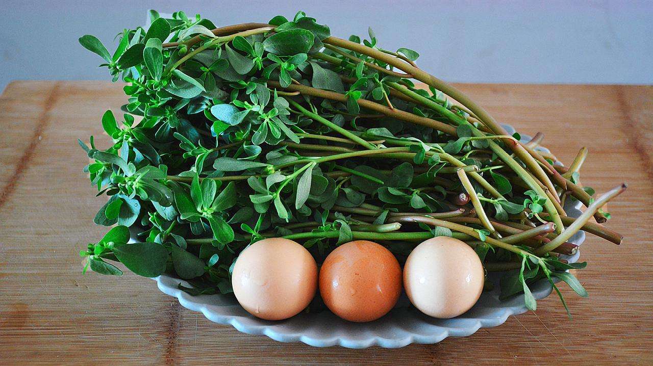 马齿苋炒鸡蛋下饭简单做法,马齿苋炒鸡蛋的功效与作用及禁忌