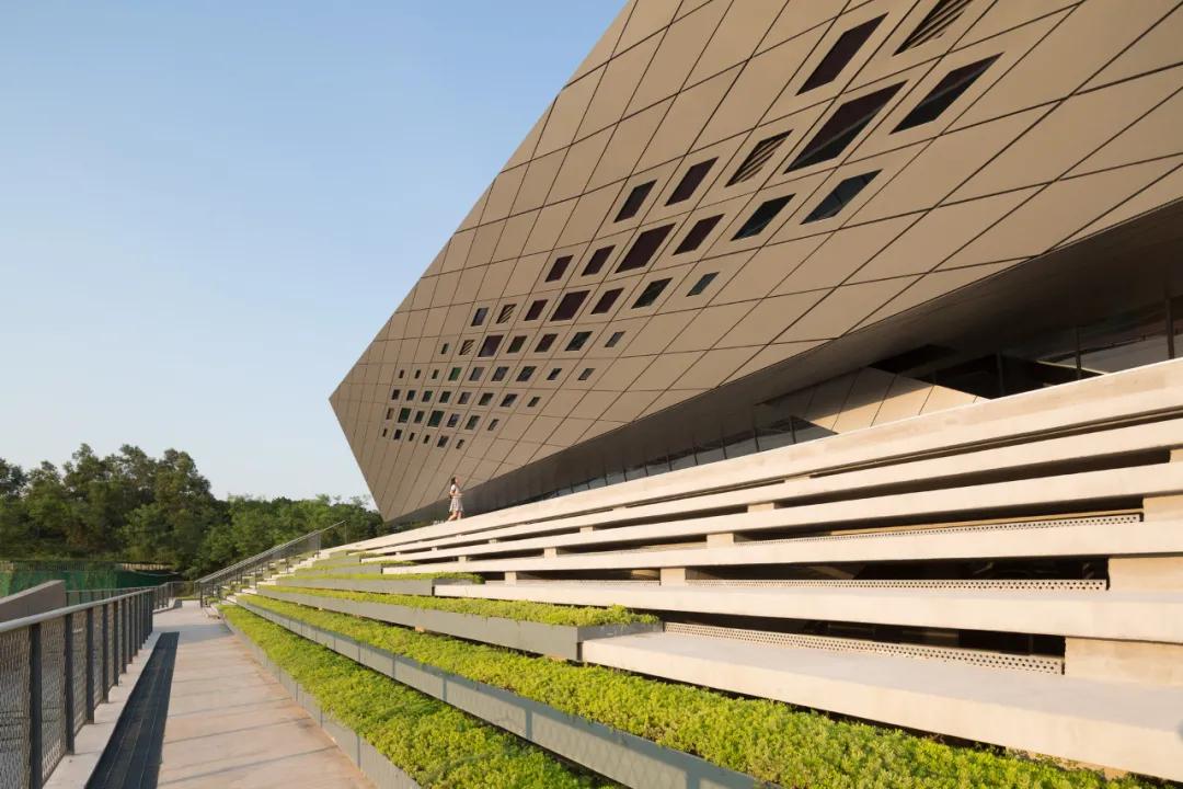 深圳科技大学体育馆,深圳大学室内体育馆