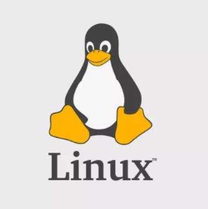 盘点那些没有发布的操作系统,已经不再使用的国产操作系统