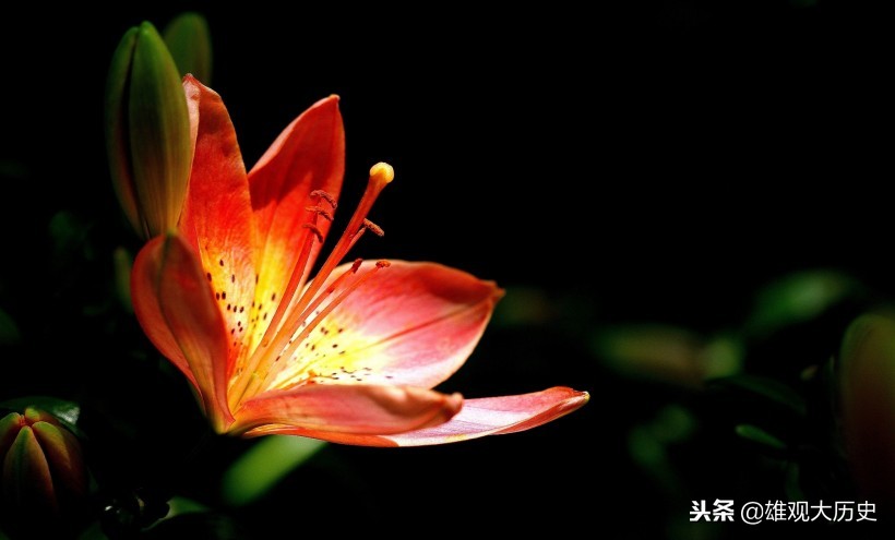 牛啊，写诗也能骂人，这十首讽刺意味的诗歌，第六首发人深省