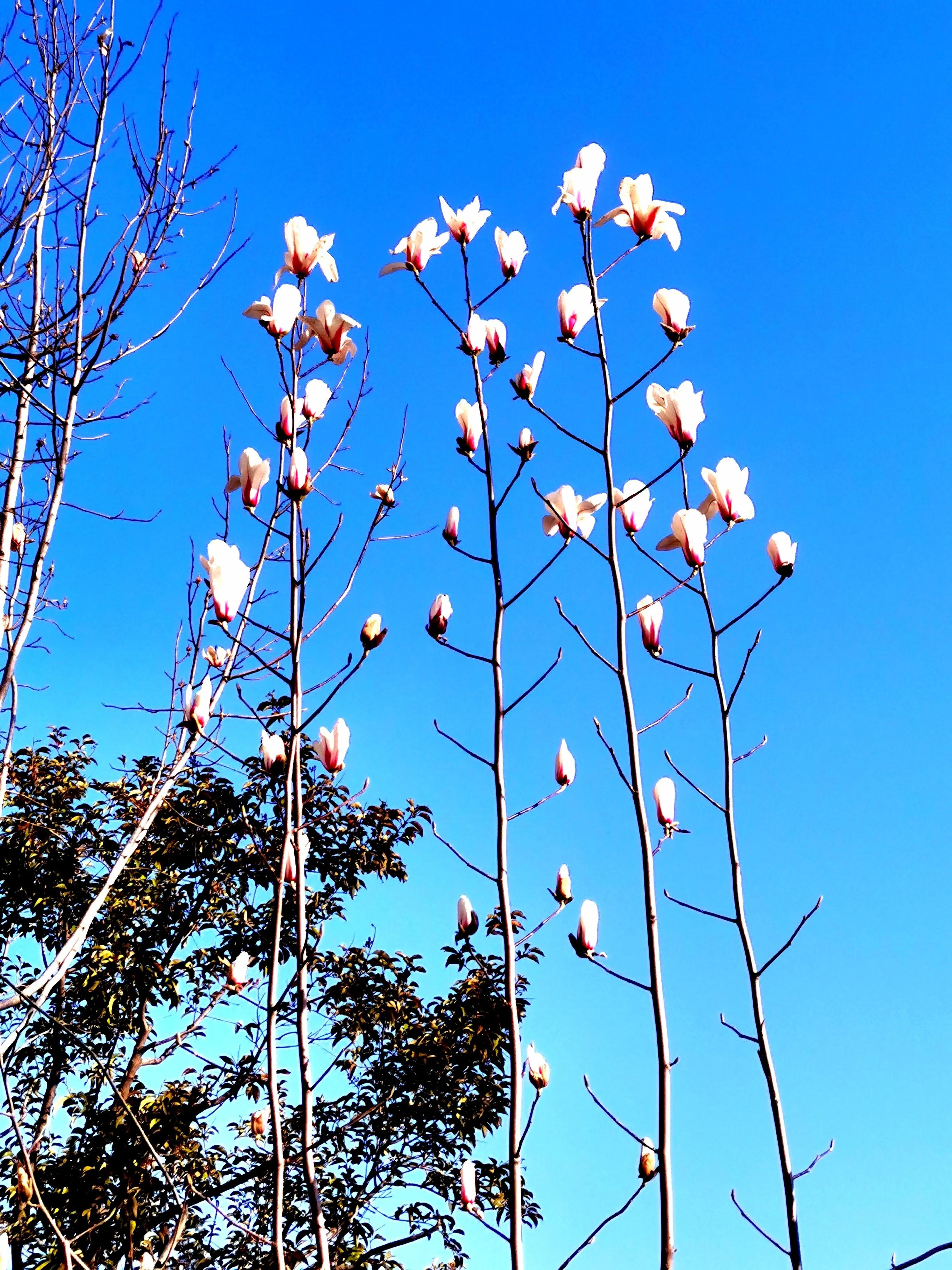 *访上**不当也会违法的（详解）