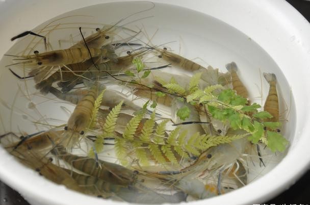 明虾基围虾罗氏虾白灼,罗氏虾和基围虾哪个好吃一点