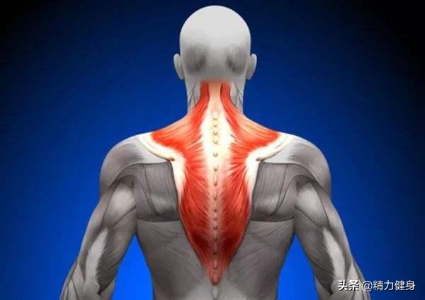 开车腰酸脖子酸怎么办,开车时间长腰背肩酸疼怎么缓解