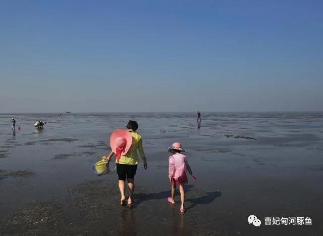 曹妃甸的新传说,渤海湾曹妃甸的魅力