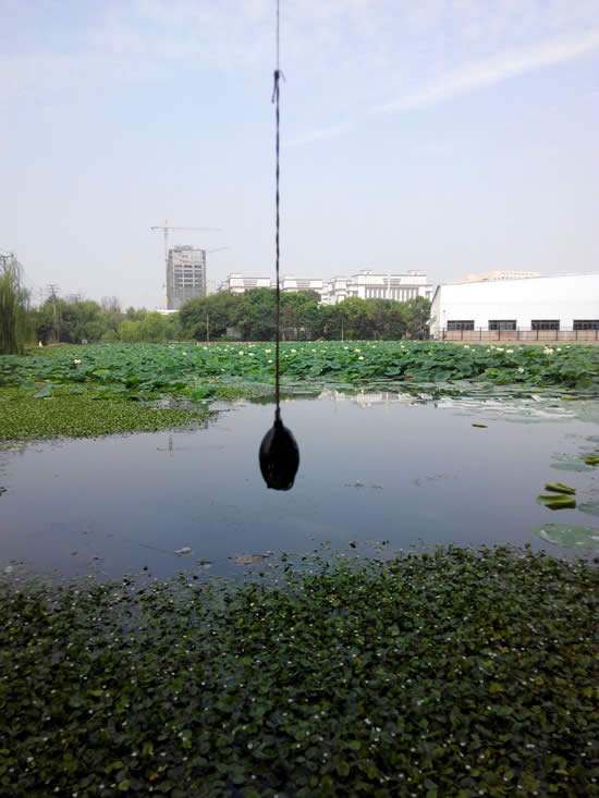 路亚钓黑鱼最好用的钓法,路亚钓黑鱼怎样选钓点图