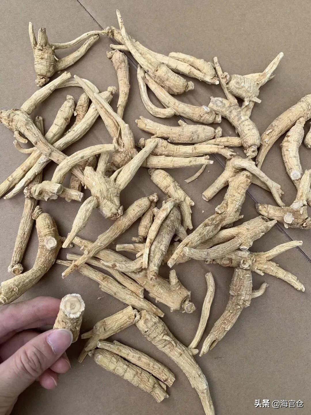 冬天西洋参泡水喝的正确方法,西洋参秋天怎么喝