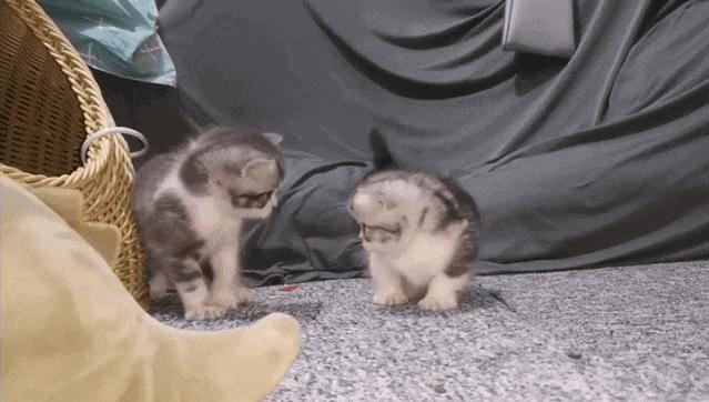 你不知道的国家冷知识(西班牙篇)