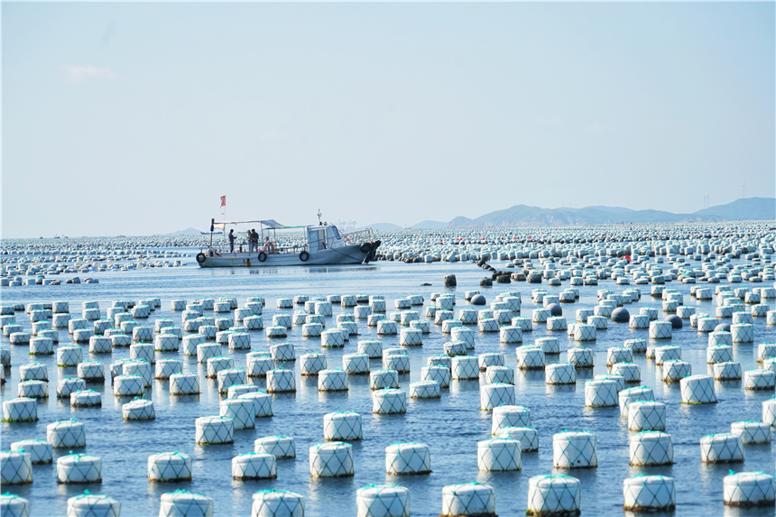 嵊泗列岛海岛推荐,嵊泗岛哪里海景最美